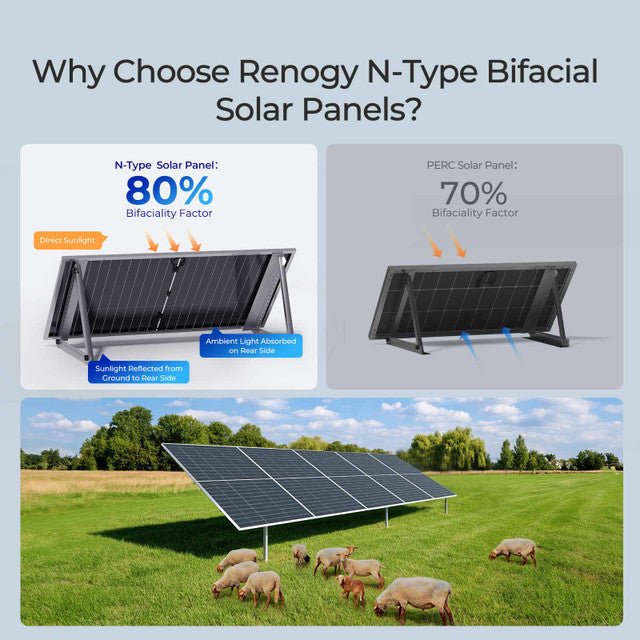 Renogy Bifacial 590 Watt N-Type Monocrystalline Solar Panel