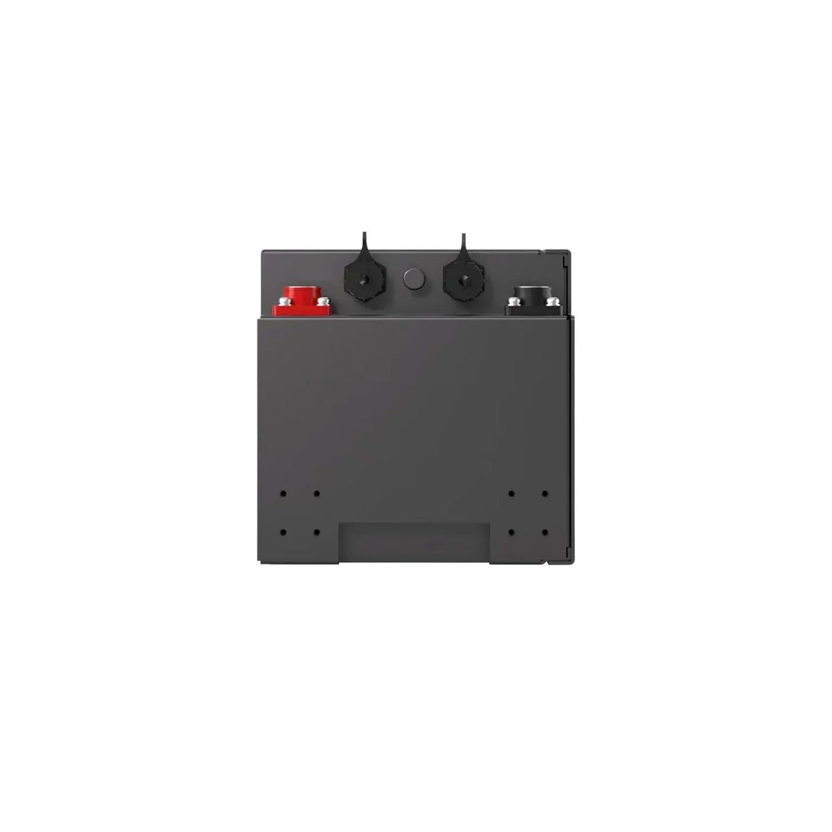 Renogy Pro S1 12V 120Ah LiFePO4 Battery